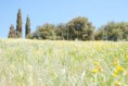 /album/hostalric/hostalric-4-jpg/