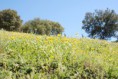 /album/hostalric/hostalric-5-jpg/
