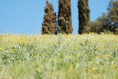 /album/hostalric/hostalric-6-jpg/